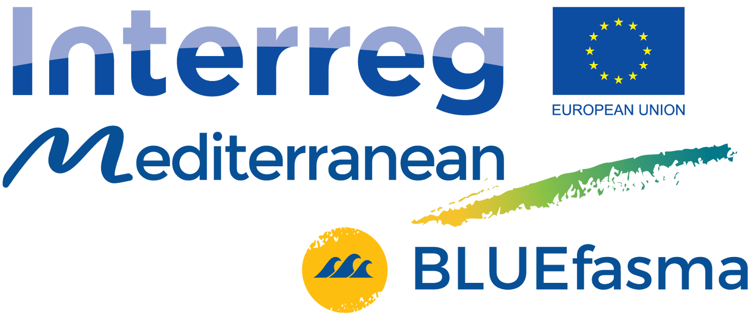 bluefasm logo